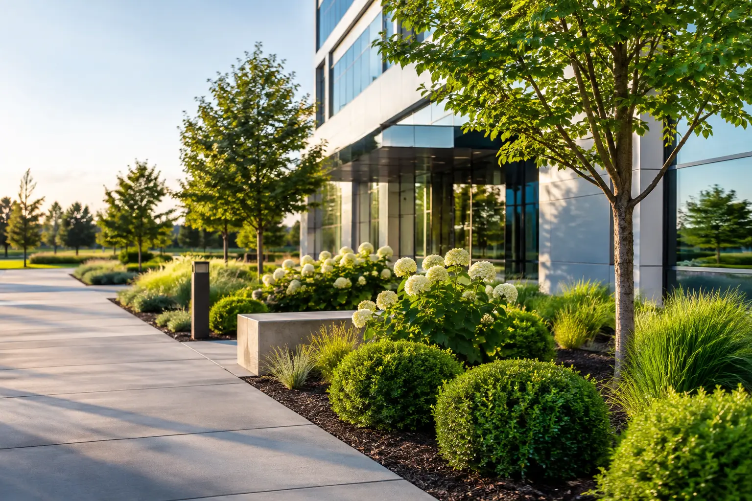 Commercial Landscape Examples That Work Harder