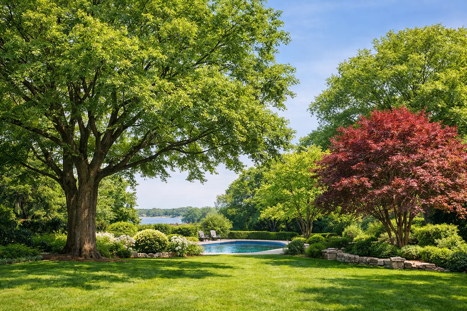 12 Best Shade Trees for Long Island Yards