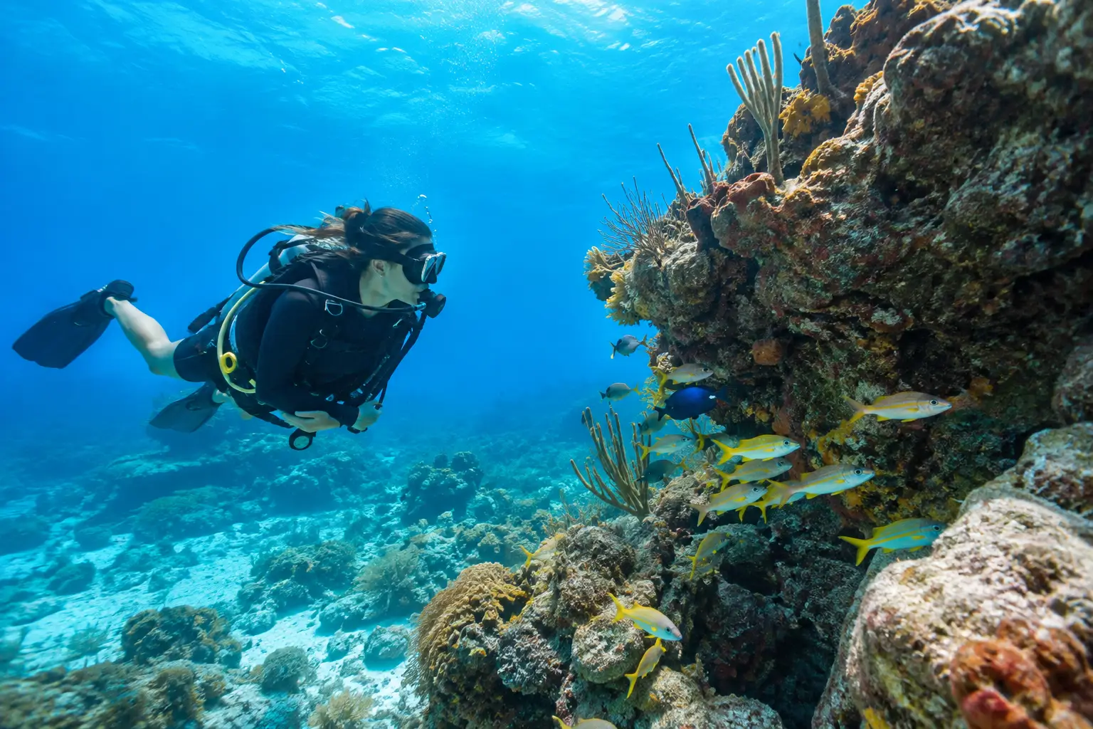 Guide to Penon Reef Diving in Punta Cana