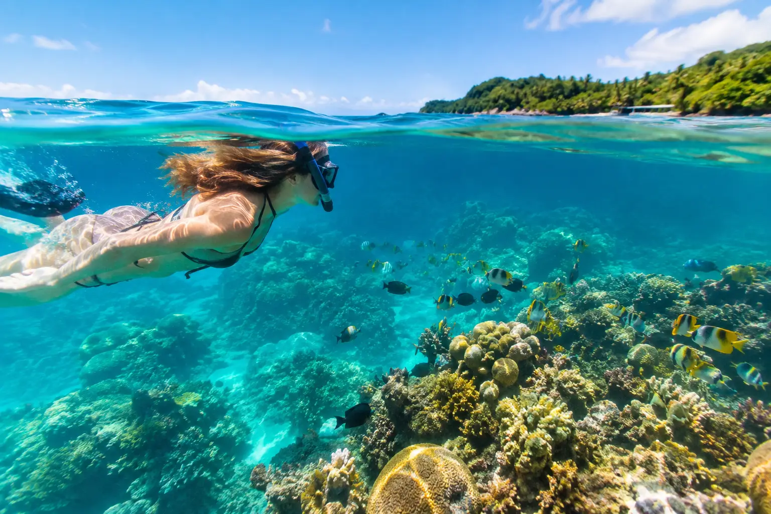 How to Visit Roatan Reefs for a Great Day