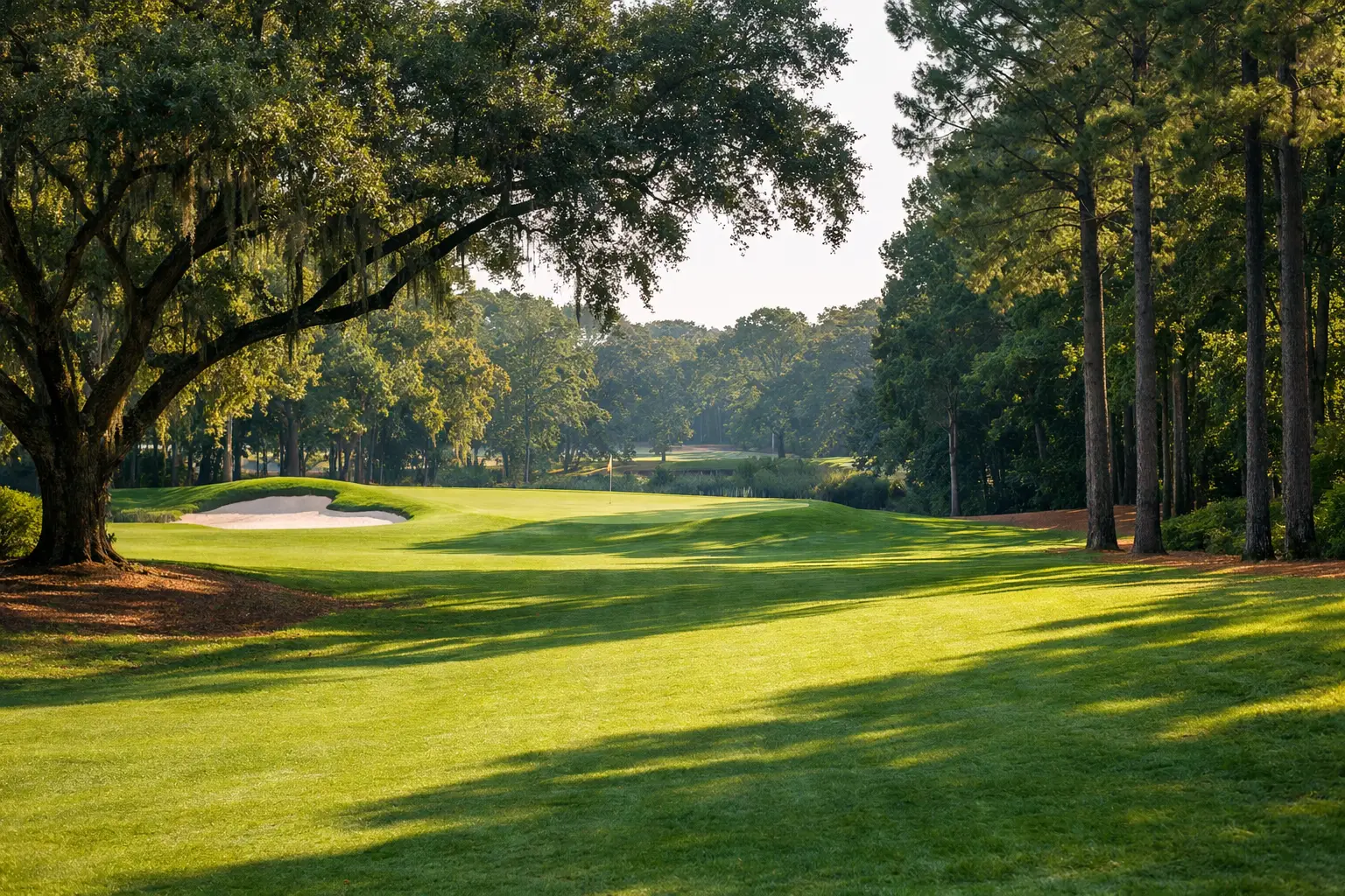 Fairway Shade Management That Protects Turf